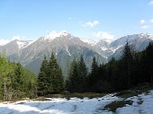 Salita da Schilpario sul sentiero 423 al Passo di Corna Busa (1940 m.) il 19 maggio 09 - FOTOGALLERY